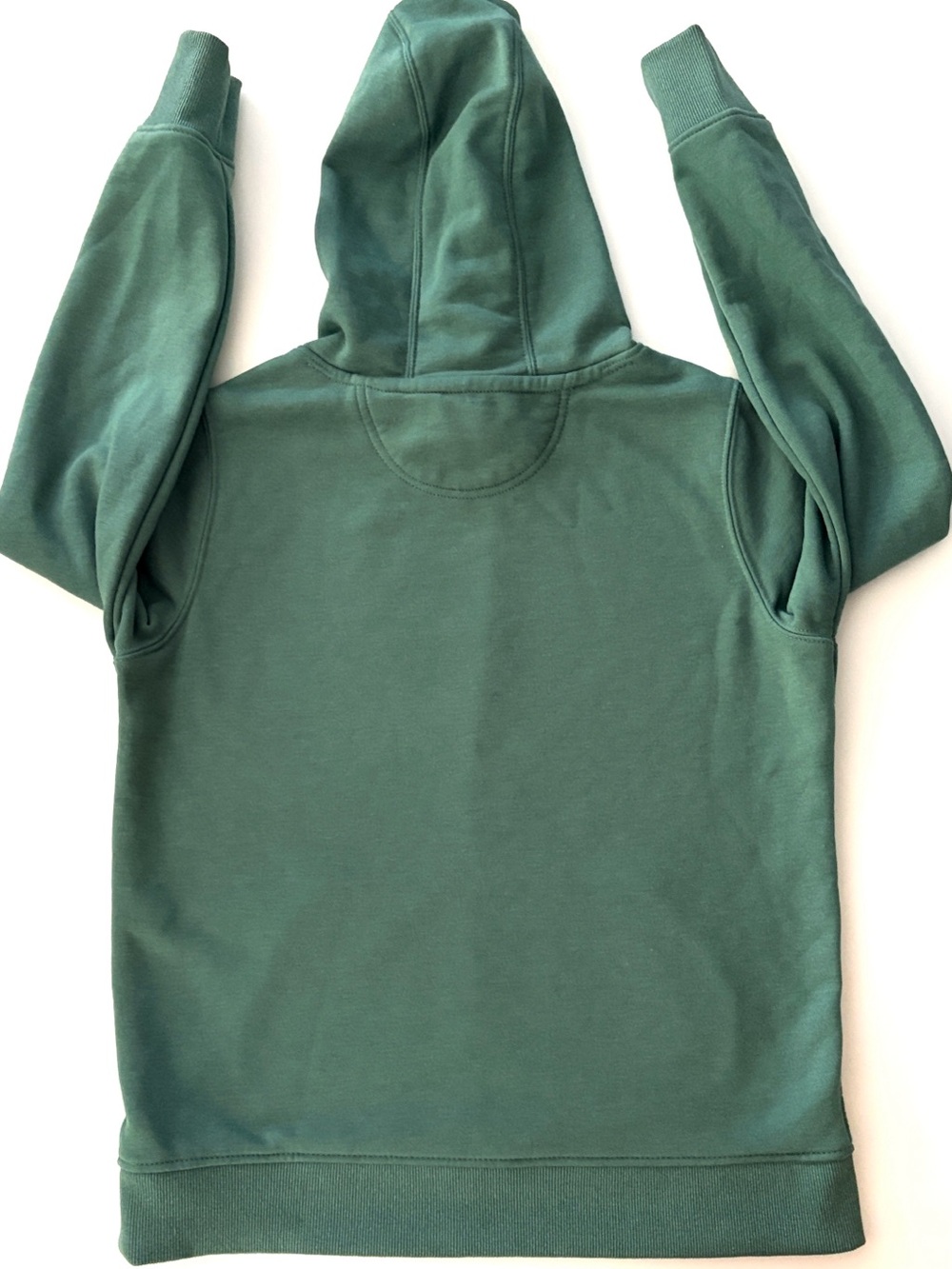 Carhartt Rain Defender Relaxed Fit Midweight Graphic Sweatshirt Hoodie Green M - Picture 8 of 14